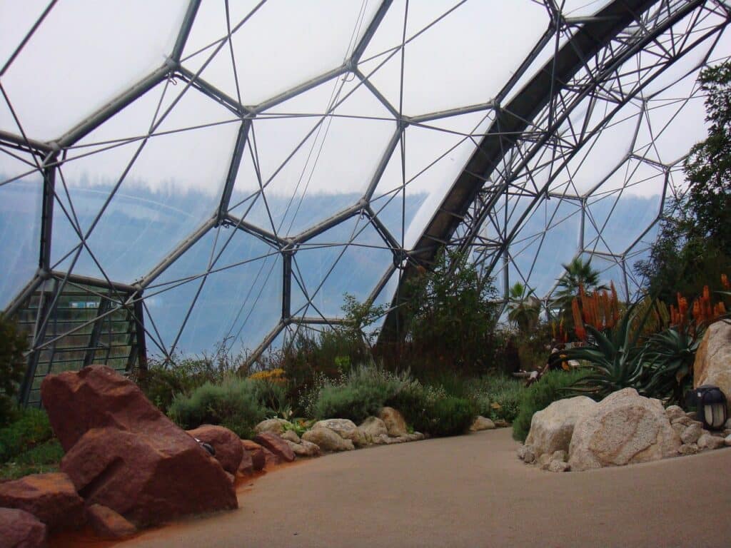 eden project, greenhouse, plants-223121.jpg